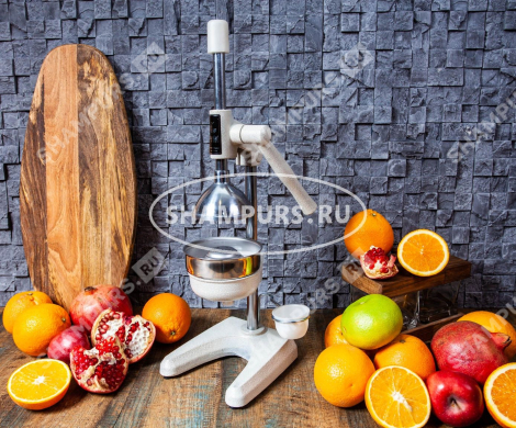Чугунный пресс для гранатов и цитрусовых KALE 1701 белый