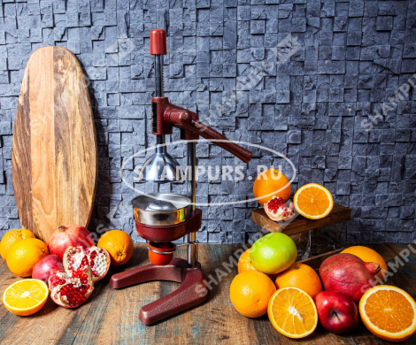 Чугунный пресс для гранатов и цитрусовых KALE 1701 красный