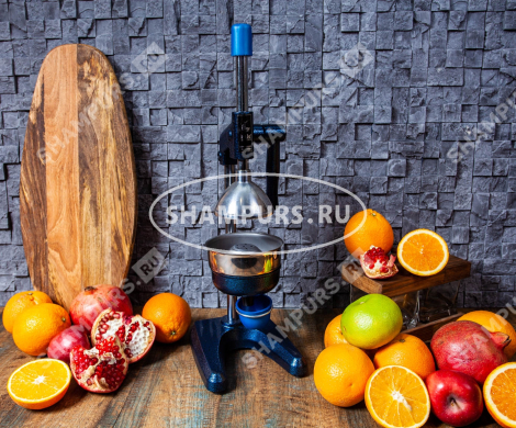 Чугунный пресс для гранатов и цитрусовых KALE 1701 синий