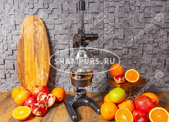 Чугунный пресс для гранатов и цитрусовых KALE 1704 черный