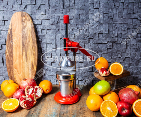 Чугунный пресс для гранатов и цитрусовых KALE 1710 красный