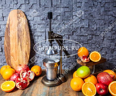 Чугунный пресс для гранатов и цитрусовых KALE 1710 песочный