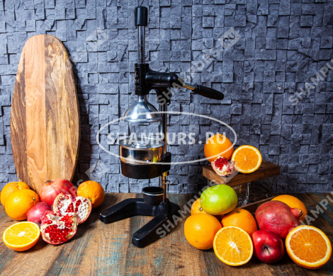 Чугунный пресс для гранатов и цитрусовых KALE 1803 черный