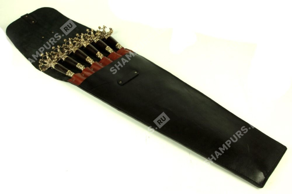 Державный орел в кожаном чехле