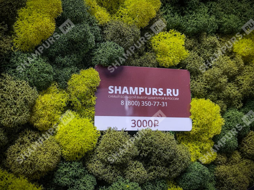 Подарочный сертификат на 3000 рублей