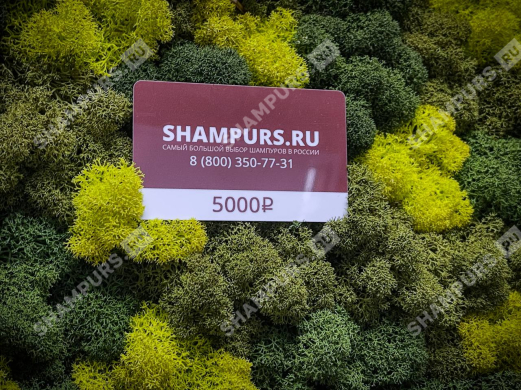 Подарочный сертификат на пять тысяч рублей