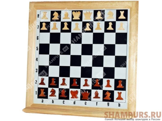 Шахматы настенные демонстрационные