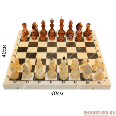 Шахматы турнирные (профессиональные)